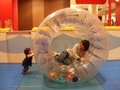 2010-04-12.jpg