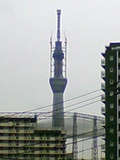 SA390009s.JPG