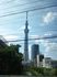 うろうろ日誌 2011年09月11日